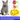 Pet Interactive Spinning Puzzle Toy
