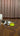 Interactive Cat Toy 