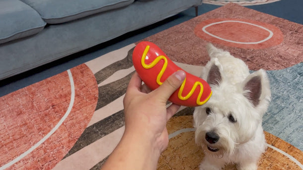 Chew Toy for Dogs