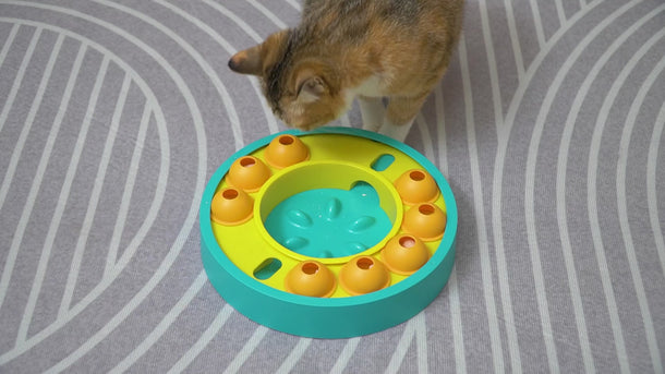 Pet Interactive Spinning Puzzle Toy