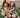 Dog and Family Img