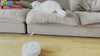 Cat Interactive Toys